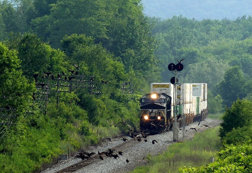 Photo of NS 23K rousts the Vultures along the D&H