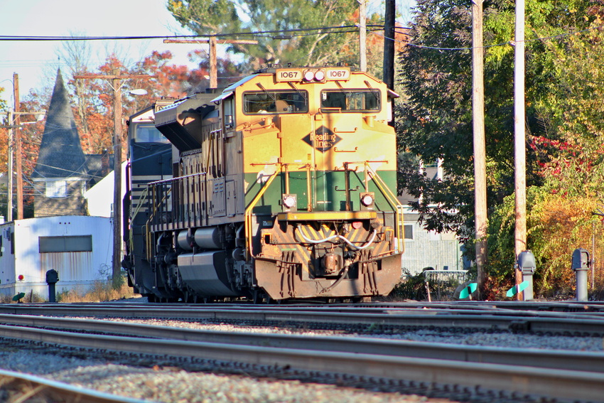 Photo of NS#1067 Reading Basking in the Sun