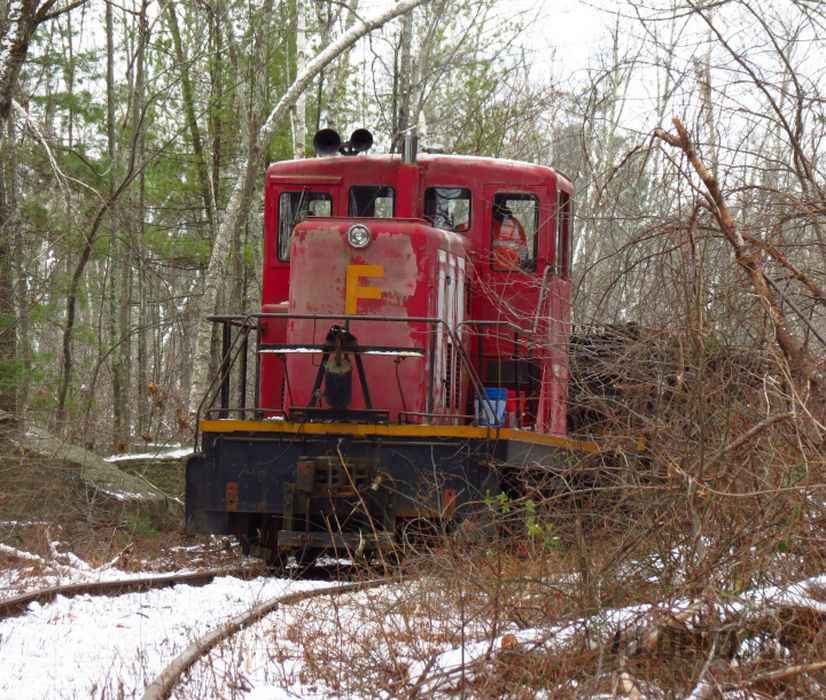 Photo of Fletcher Quarry Switcher in the Woods