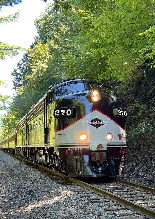 Photo of RBMN F9 leading Lehigh Gorge Scenic Rwy train