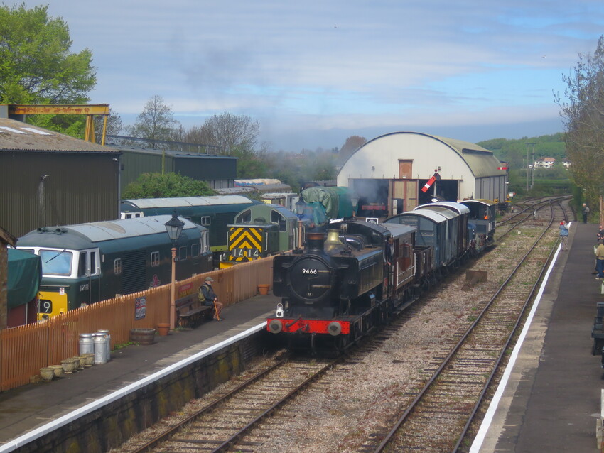 Photo of A scene at Williton station