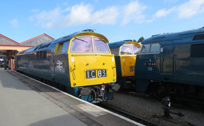 Photo of A trio of Westerns (class 52s)