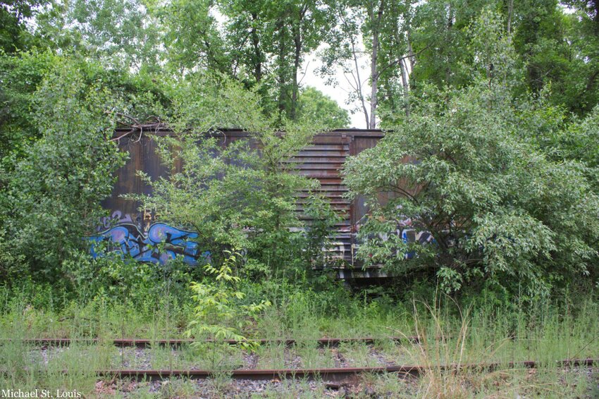 Photo of Abandoned boxcar (now saved!) - Bay Colony Railroad, Millis, MA